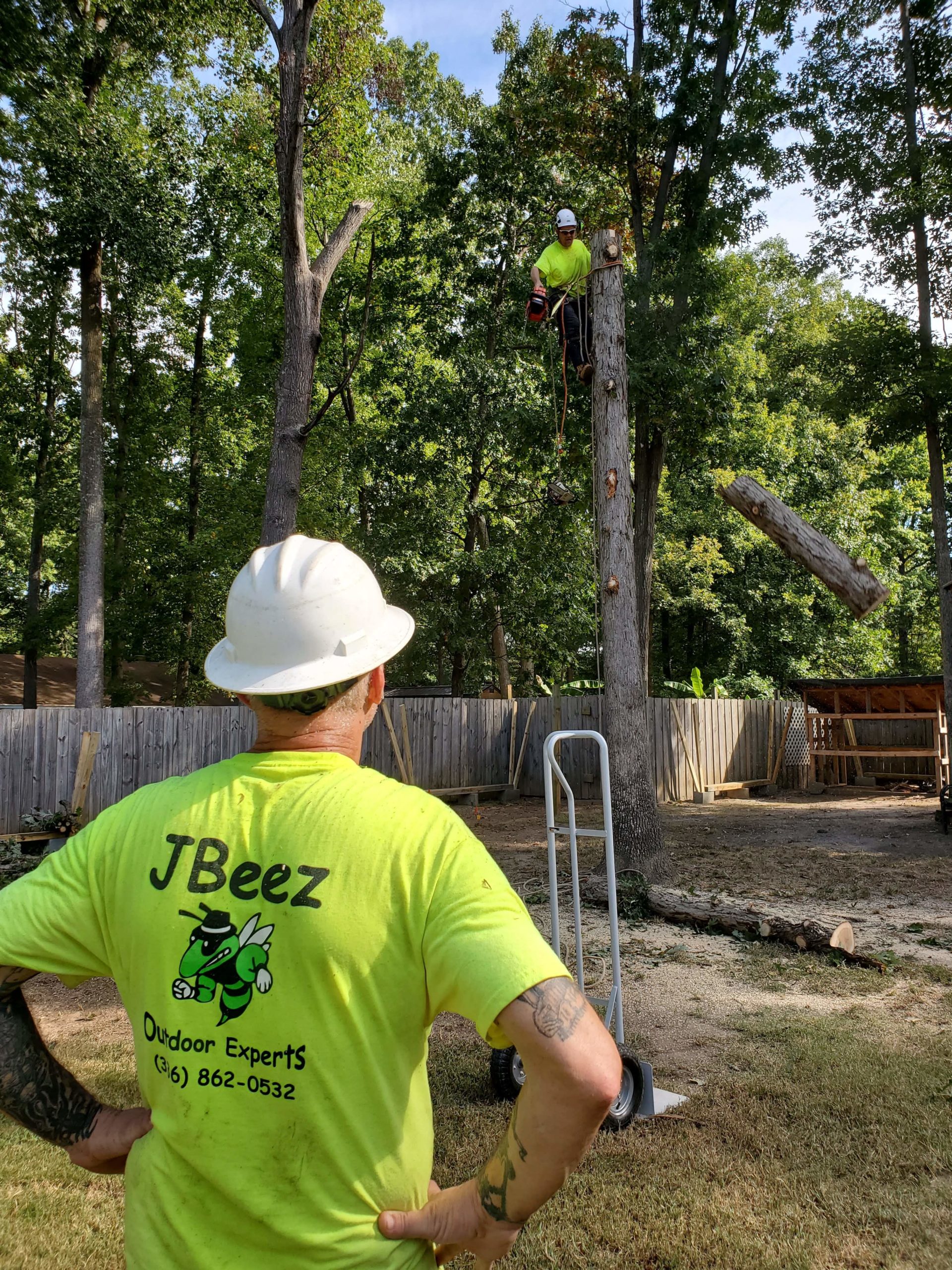 Tree Service Kernersville| JBeez Outdoor Experts LLC